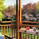 Lumineux A - 4 Pers, Animaux Admis, Parking - Fr-1-857-62 Appartement