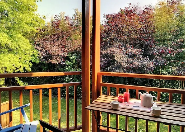 Lumineux A - 4 Pers, Animaux Admis, Parking - Fr-1-857-62 Lejlighed